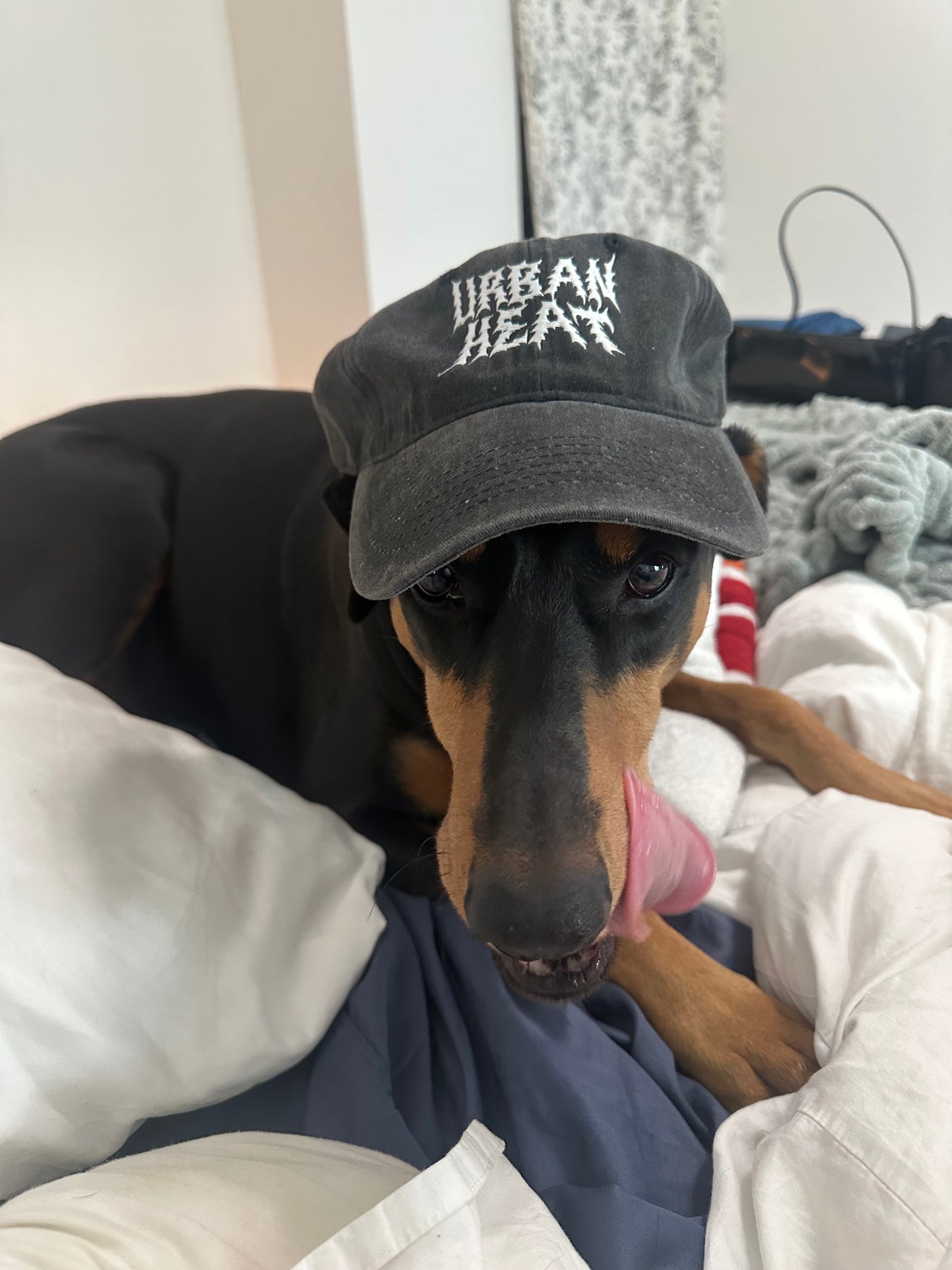 DAD HAT